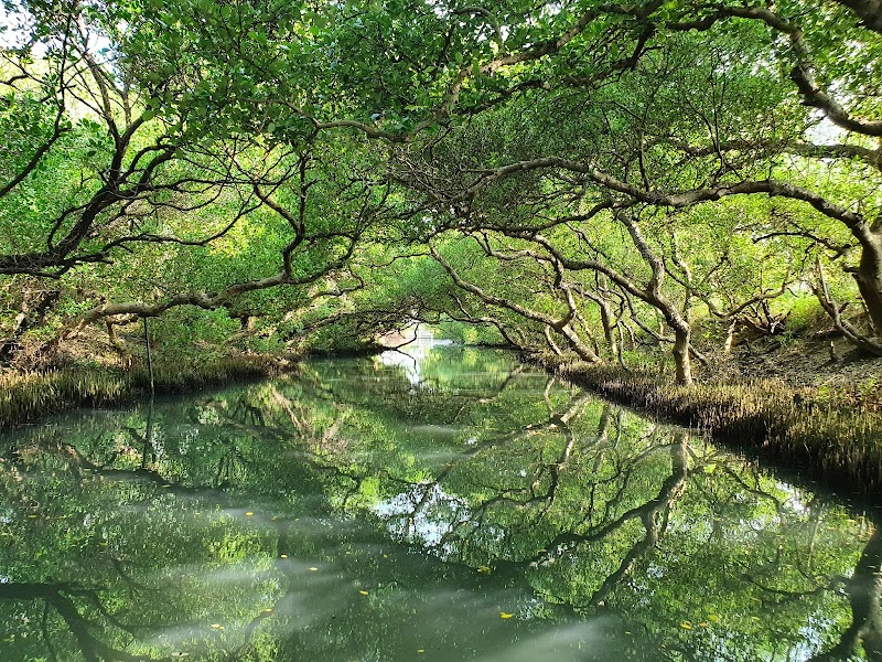 四草綠色隧道 - 台南安南區親子景點