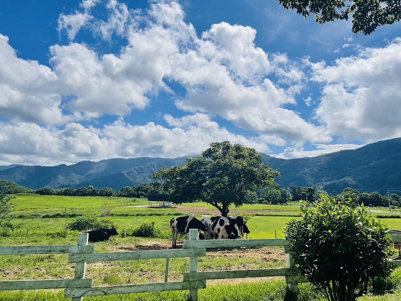 初鹿牧場 - 台東卑南鄉親子景點