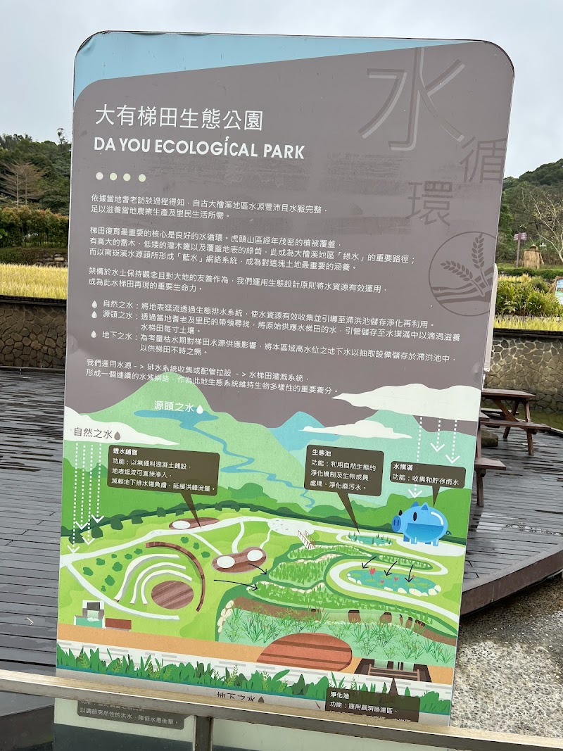 大有梯田生態公園 - 桃園桃園區親子景點