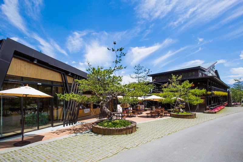 HOHOCHA喝喝茶 - 南投魚池鄉親子景點