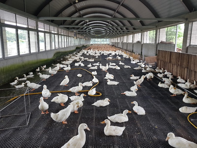 甲鳥園 - 宜蘭礁溪鄉親子景點