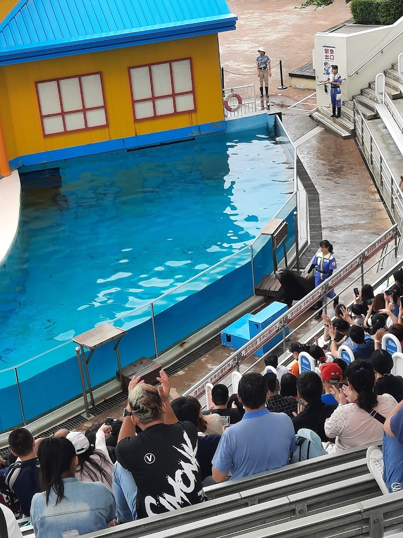 遠雄海洋公園 - 花蓮壽豐鄉親子景點