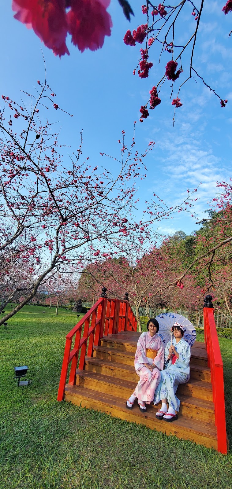 九族文化村 - 南投魚池鄉親子景點