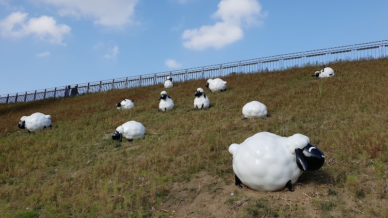 新北大都會公園 - 新北三重區親子景點