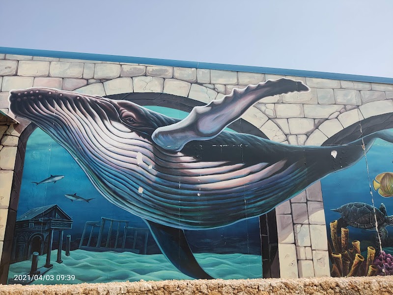 小琉球海洋館 - 小琉球親子景點