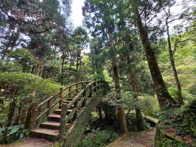 東眼山國家森林遊樂區 - 桃園復興區親子景點