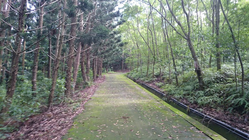關廟森林公園 - 台南關廟區親子景點