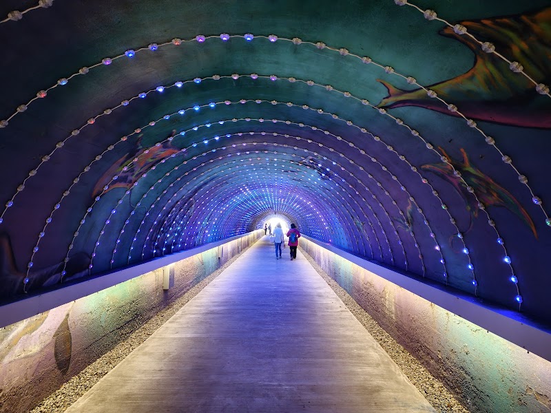 旗津星空隧道 - 高雄旗津區親子景點