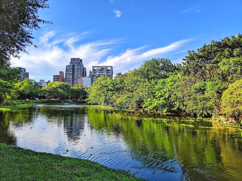 大安森林公園 - 台北大安區親子景點