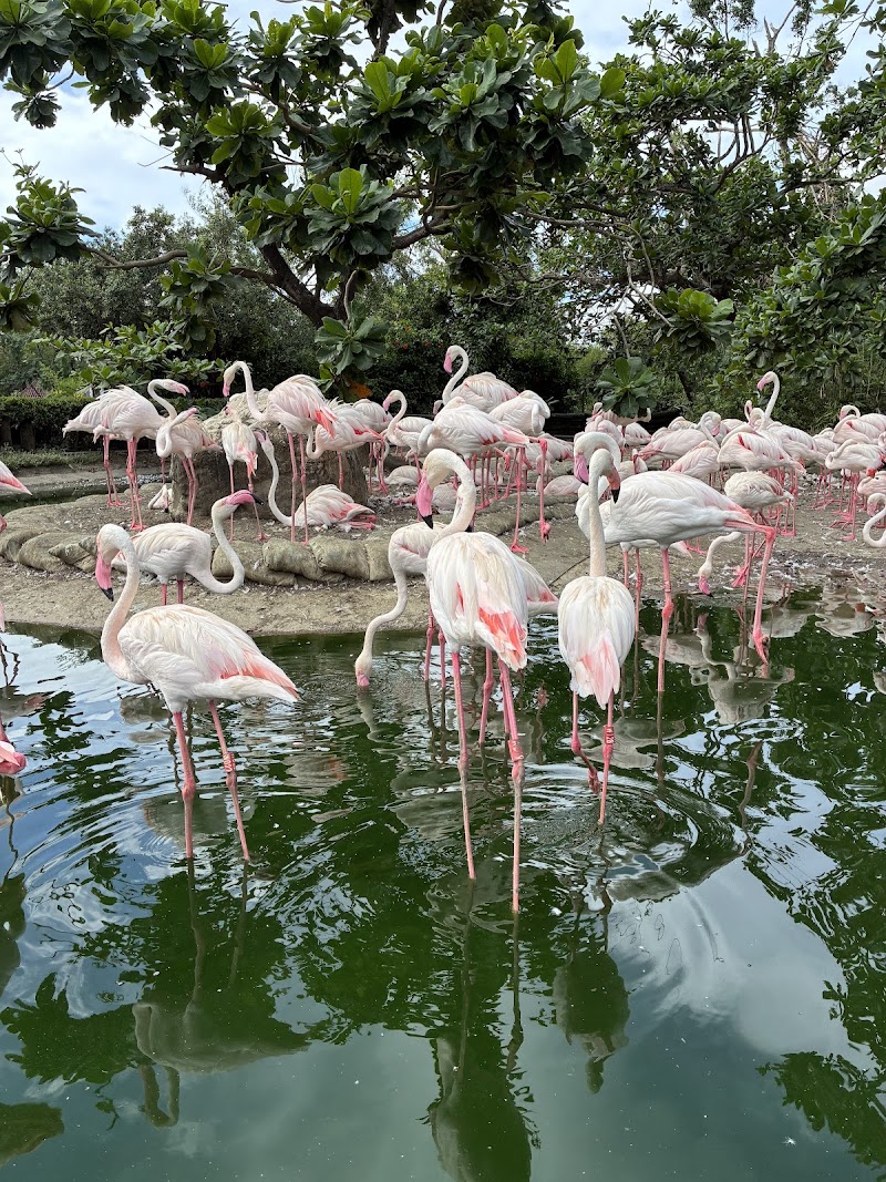 頑皮世界野生動物園 - 台南學甲區親子景點