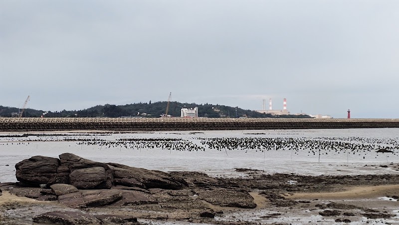后湖濱海公園 - 金門金湖鎮親子景點