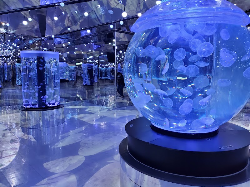 Xpark水族館 - 桃園中壢區親子景點