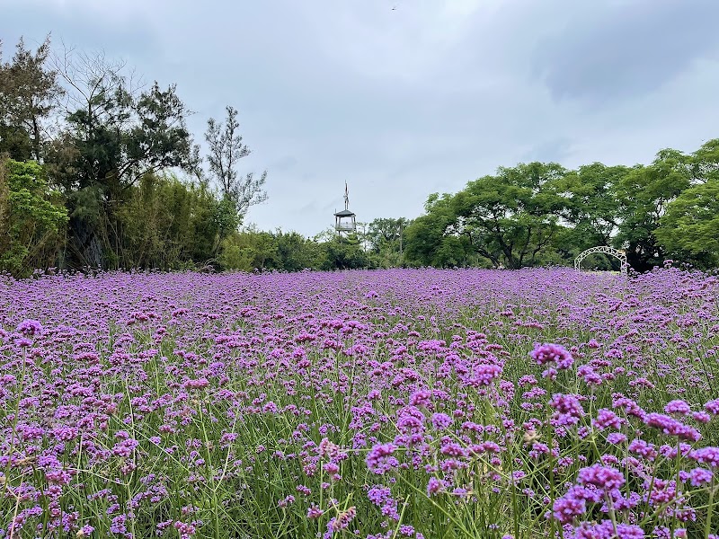 青林農場 - 桃園觀音區親子景點