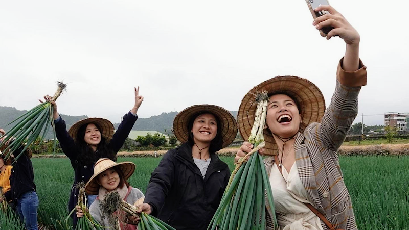 星寶蔥體驗農場 - 宜蘭親子景點