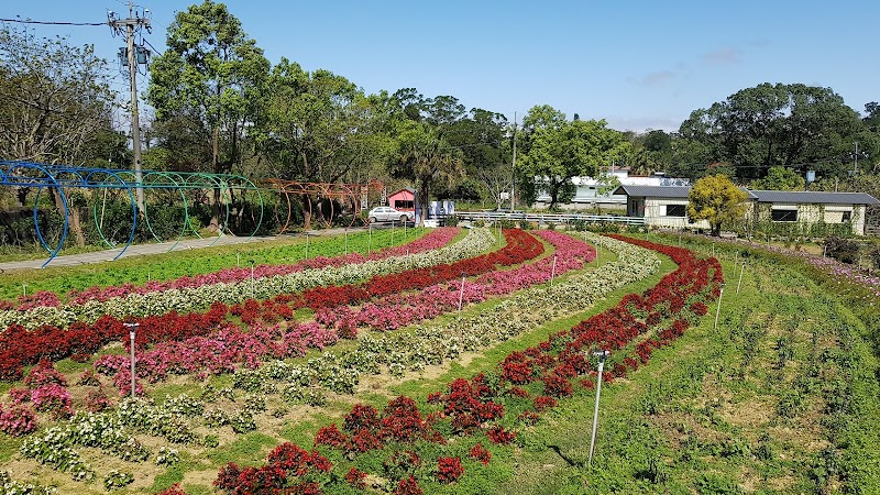 富田花園農場 - 桃園大溪區親子景點