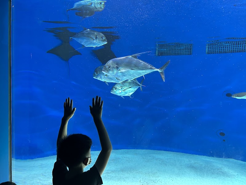 Xpark水族館 - 桃園中壢區親子景點