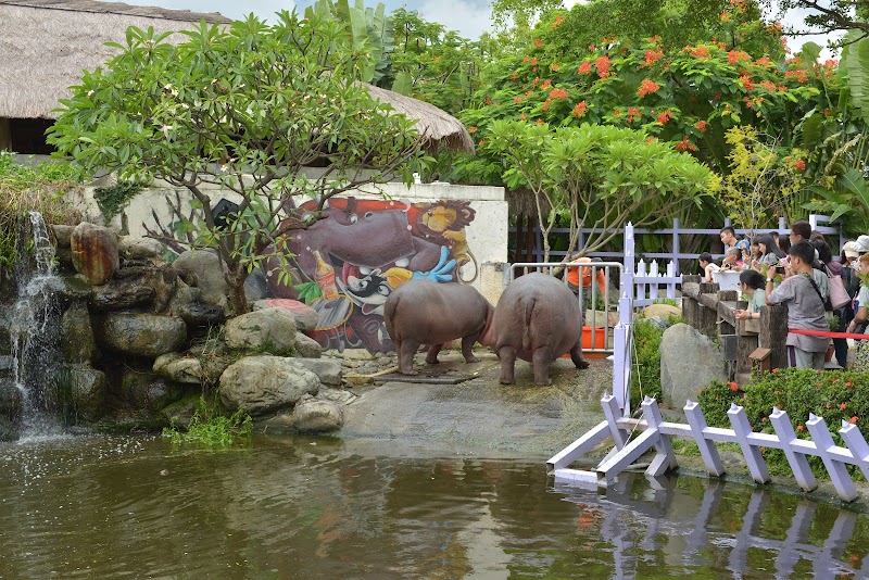 淨園機場咖啡休閒農場 - 高雄小港區親子景點