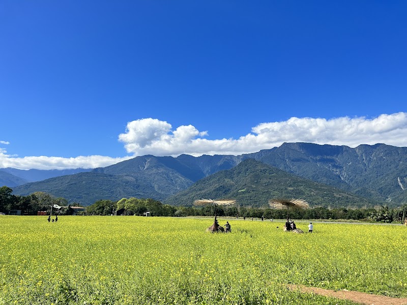 大農大富平地森林園區 - 花蓮光復鄉親子景點