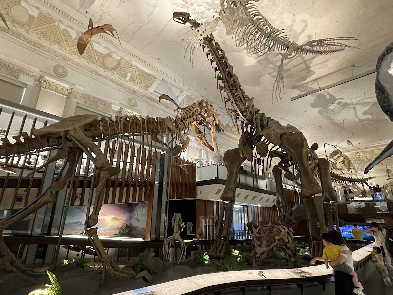 國立臺灣博物館土銀展示館 - 台北親子景點