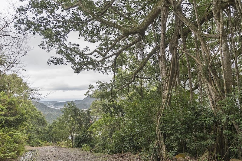 知本國家森林遊樂區 - 台東親子景點