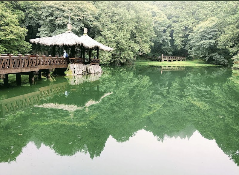 阿里山國家森林遊樂區 - 嘉義阿里山鄉親子景點