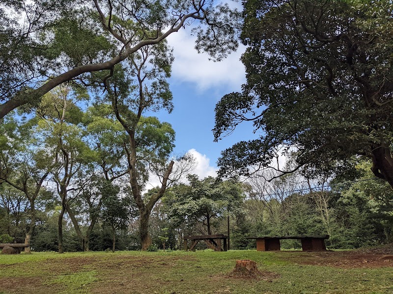 牧蜂農莊 - 新北三芝區親子景點